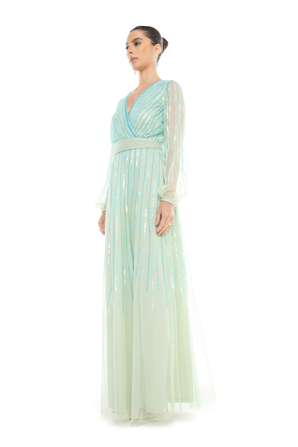 Sheer Sleeve Striped Sequin Gown