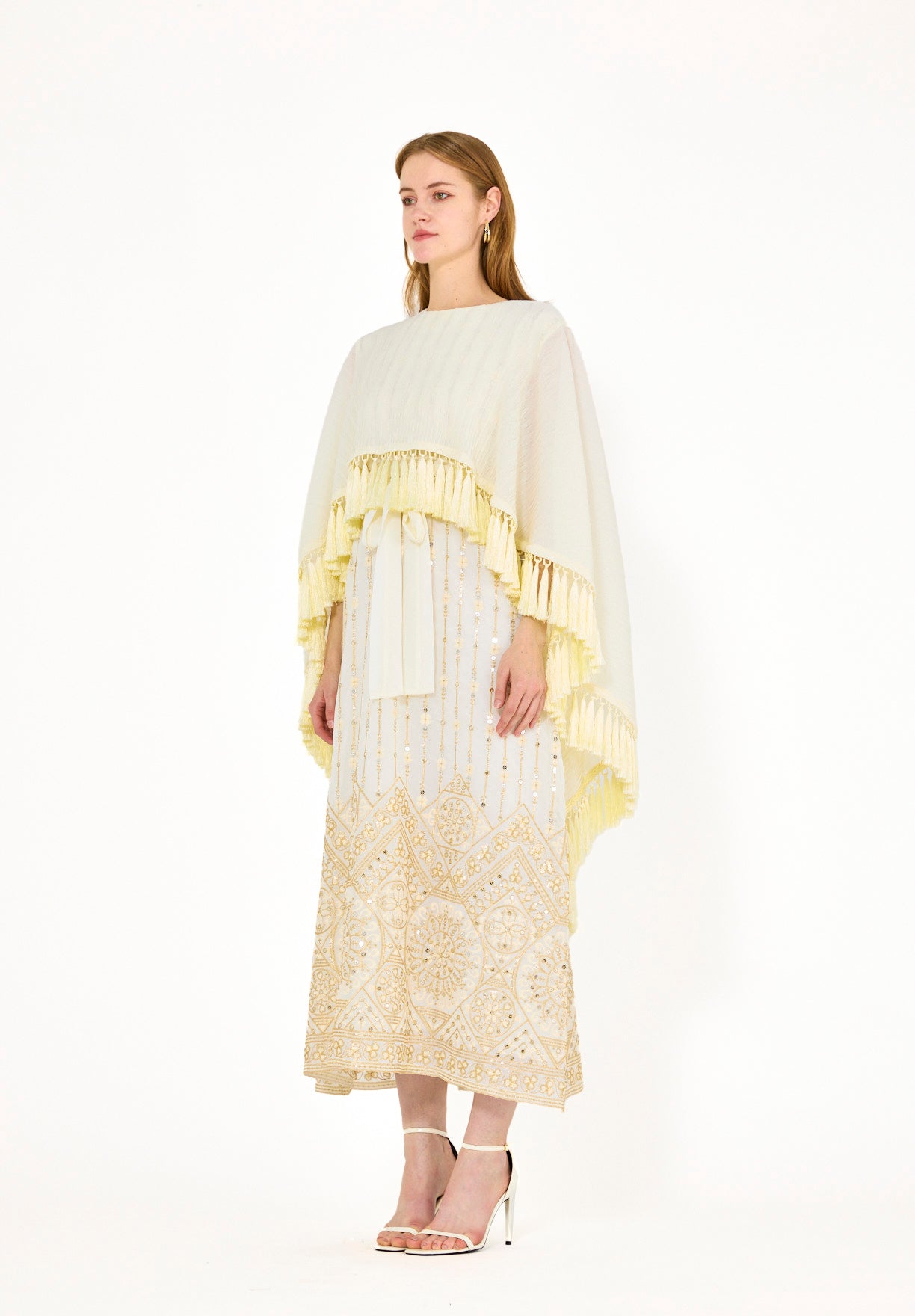 Pleated Cape Overlay Embroidered Dress