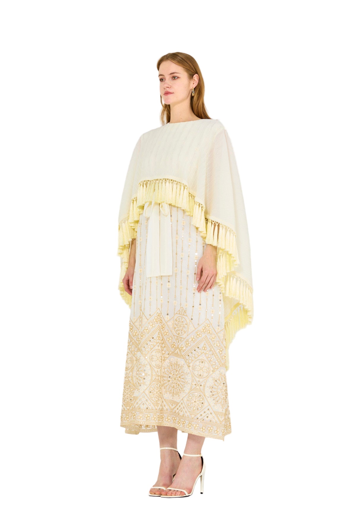Pleated Cape Overlay Embroidered Dress