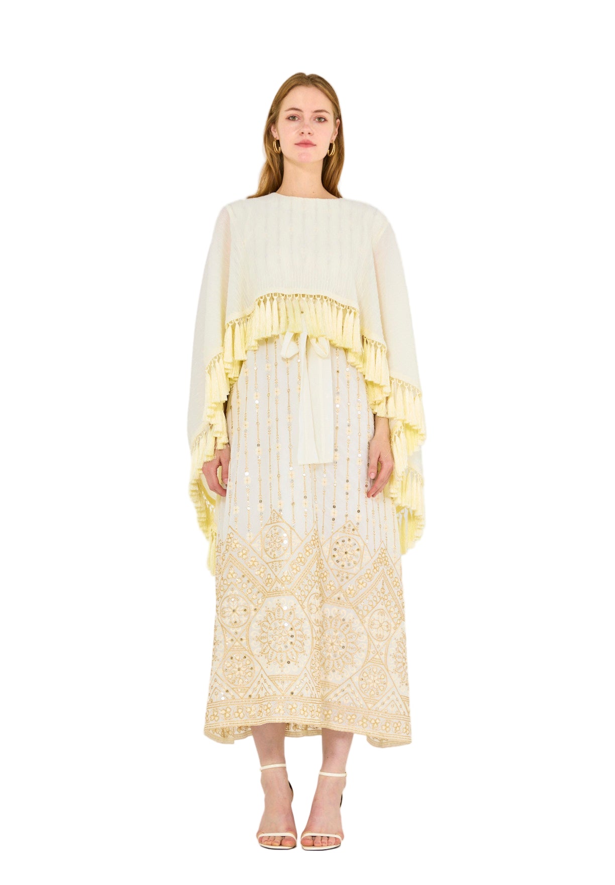 Pleated Cape Overlay Embroidered Dress