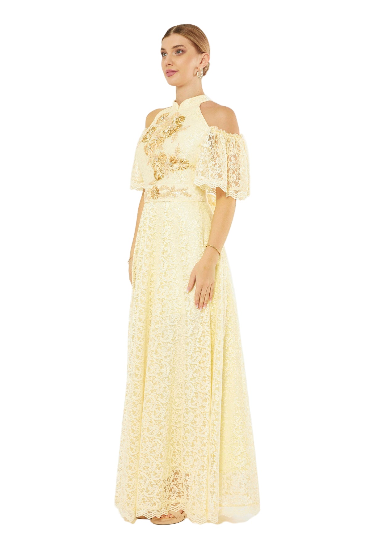 Petal Lace Embroidered Radiant Dress