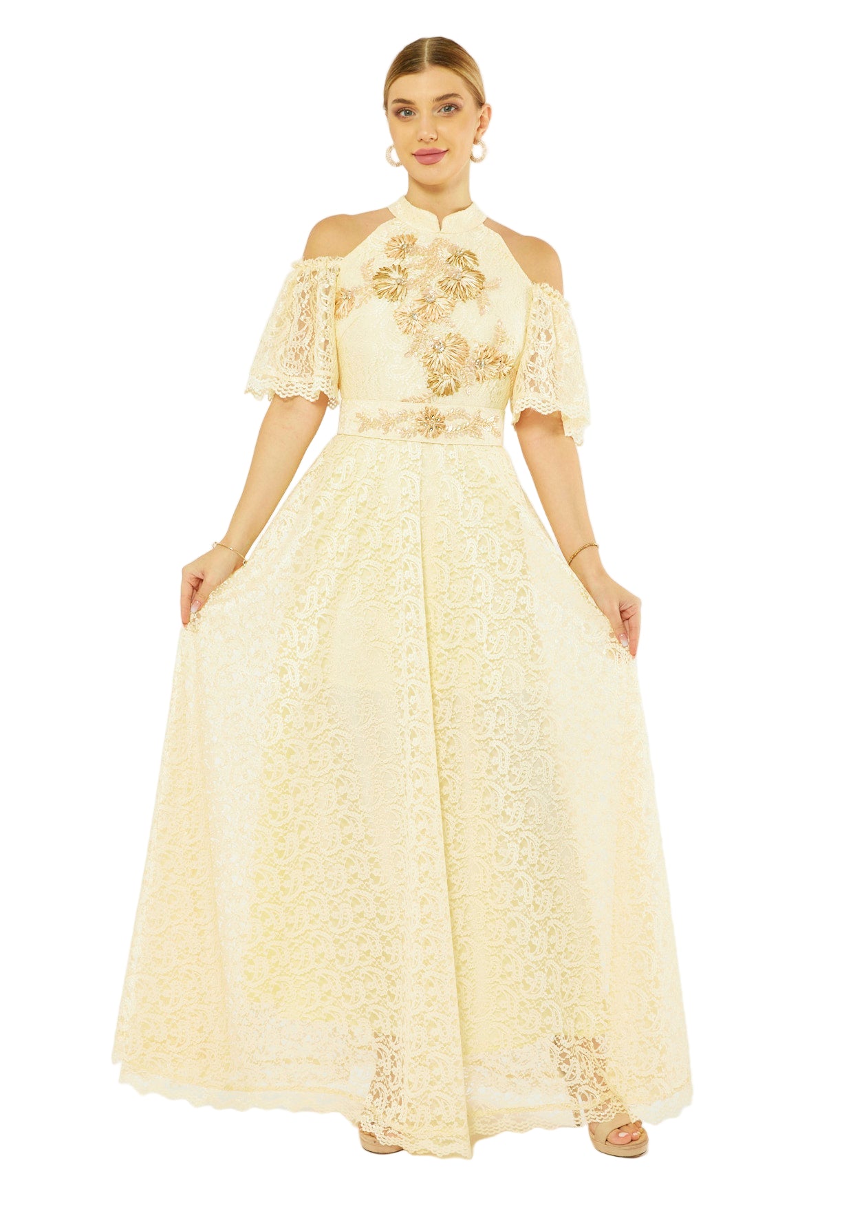 Petal Lace Embroidered Radiant Dress