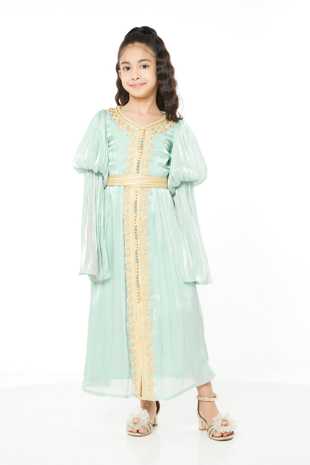 Embroidered Traditional Elegance Style Dress