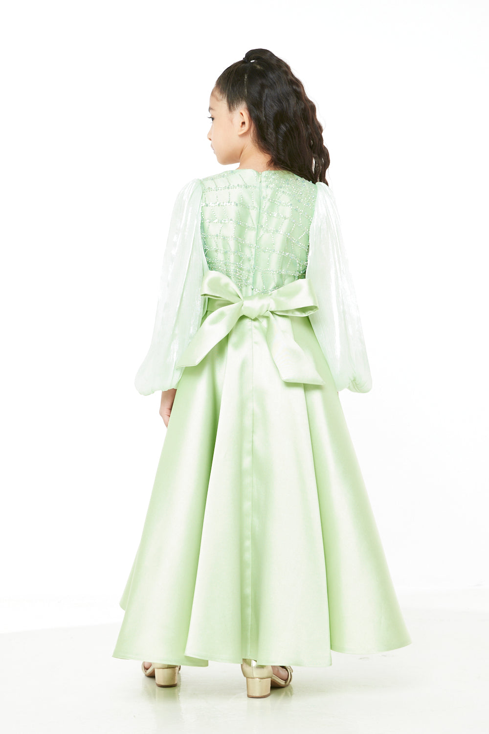 Embellished Sheer Sleeve Gown