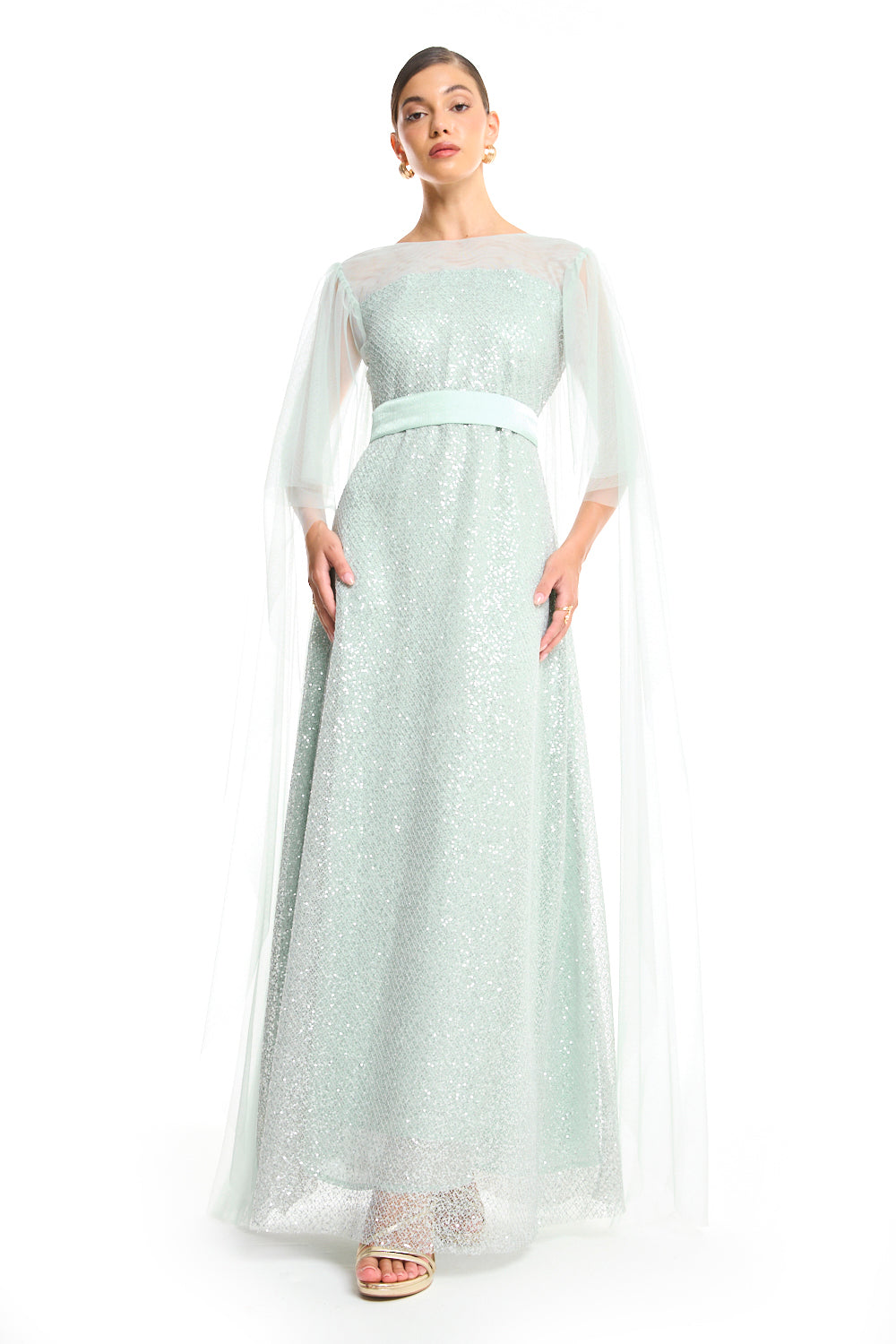 Veiled Elegance Dress