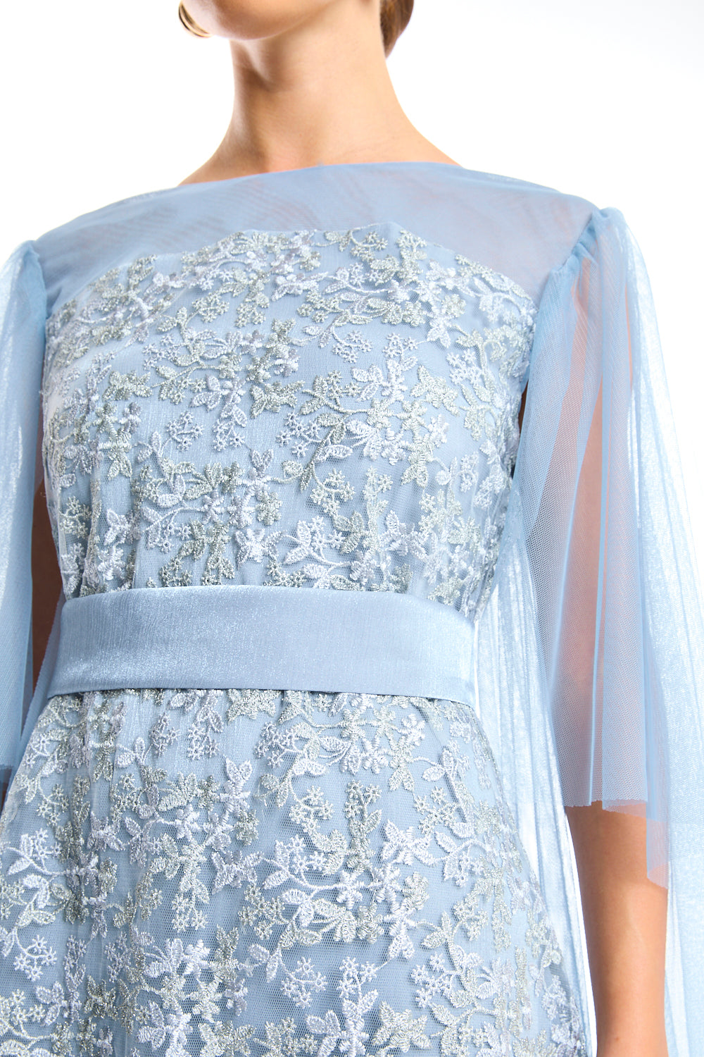 Veiled Elegance Dress