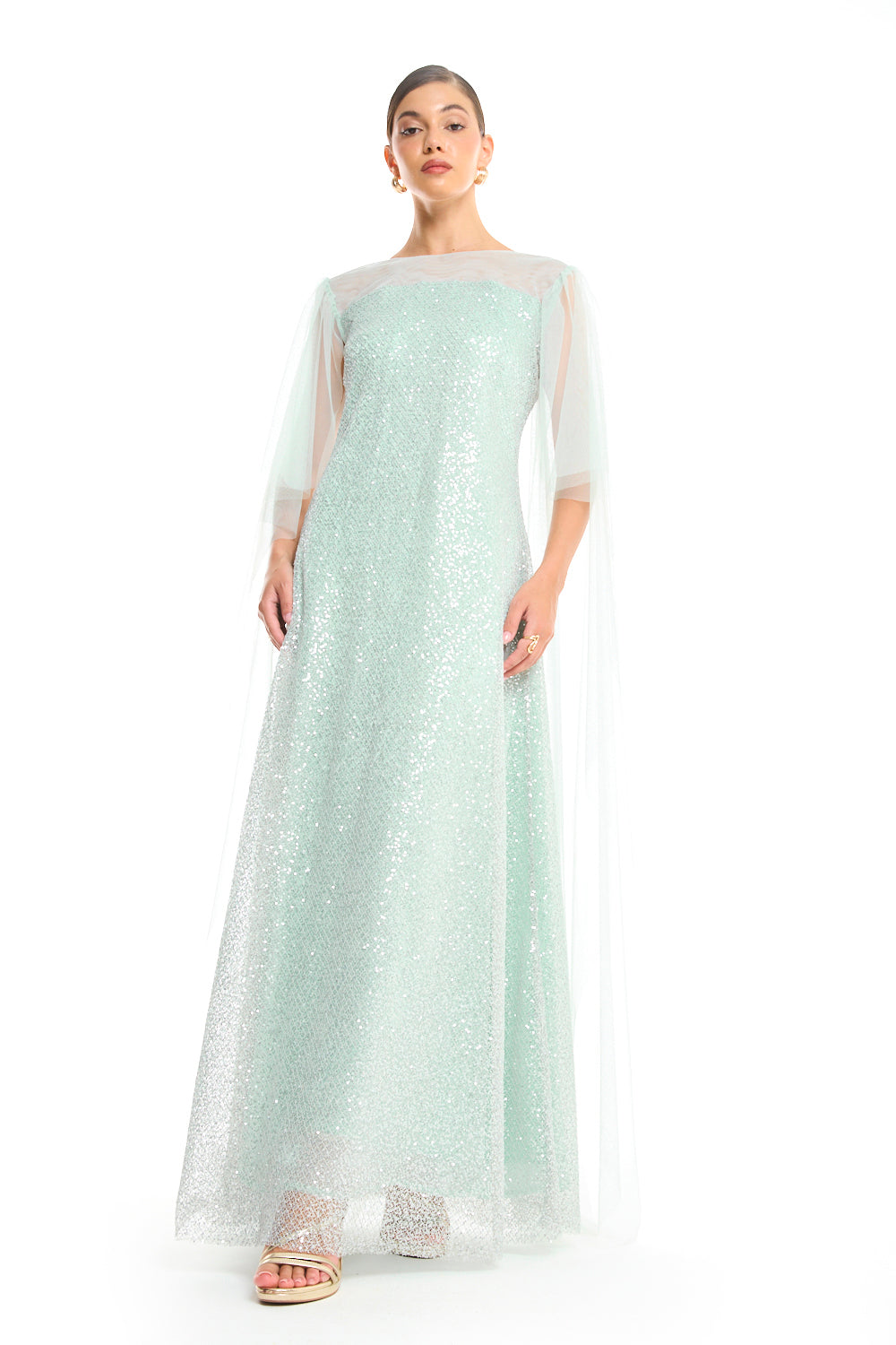 Veiled Elegance Dress