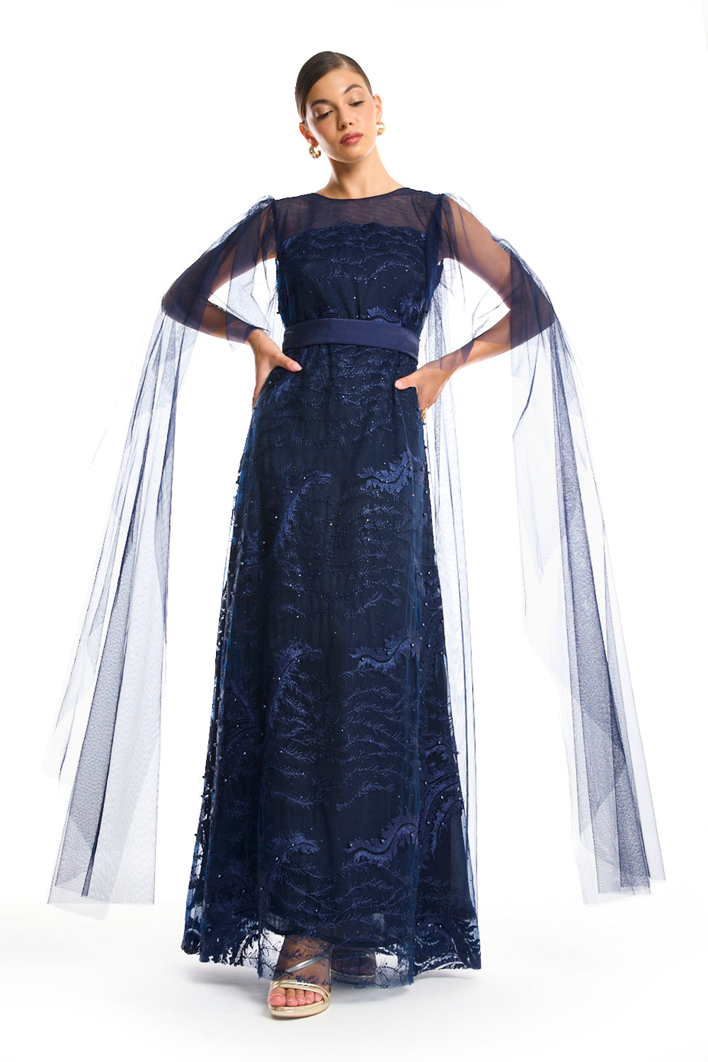 Veiled Elegance Dress