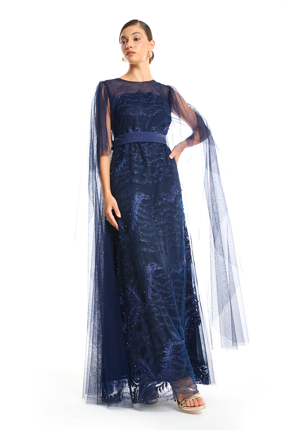 Veiled Elegance Dress