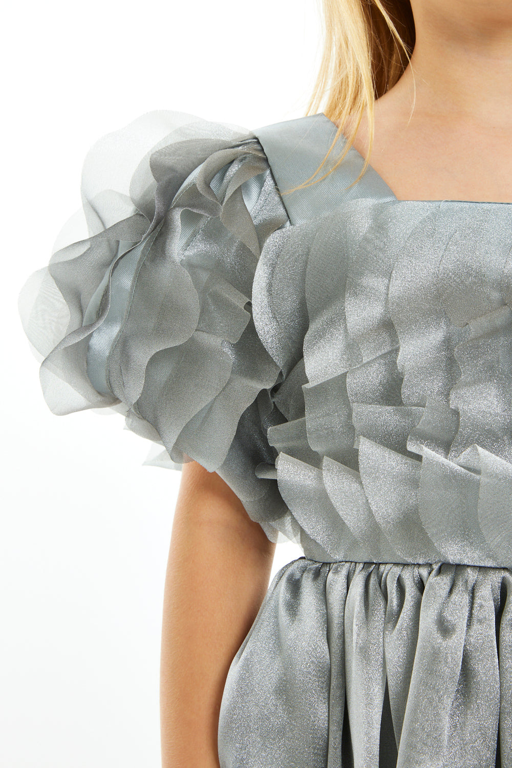 Organza Bloom Sleeve Dress