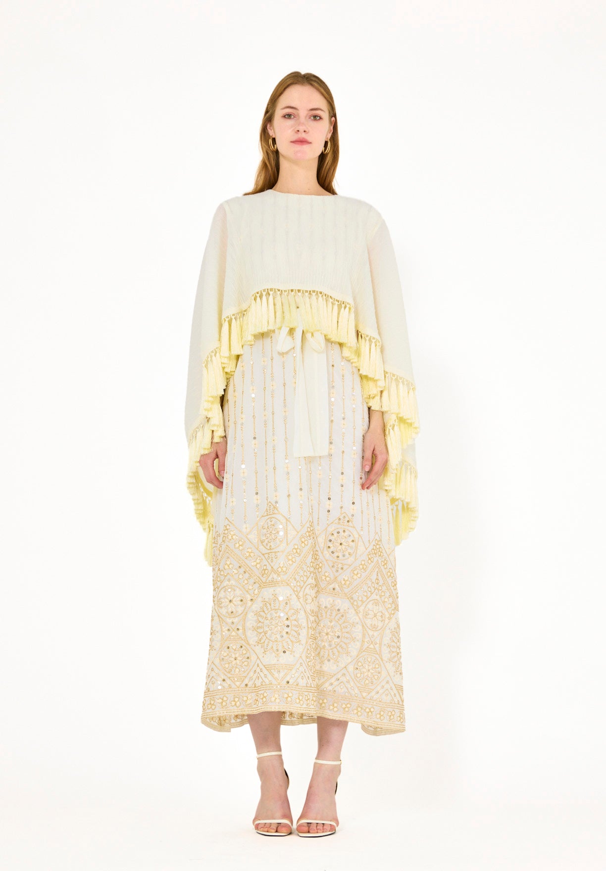 Pleated Cape Overlay Embroidered Dress
