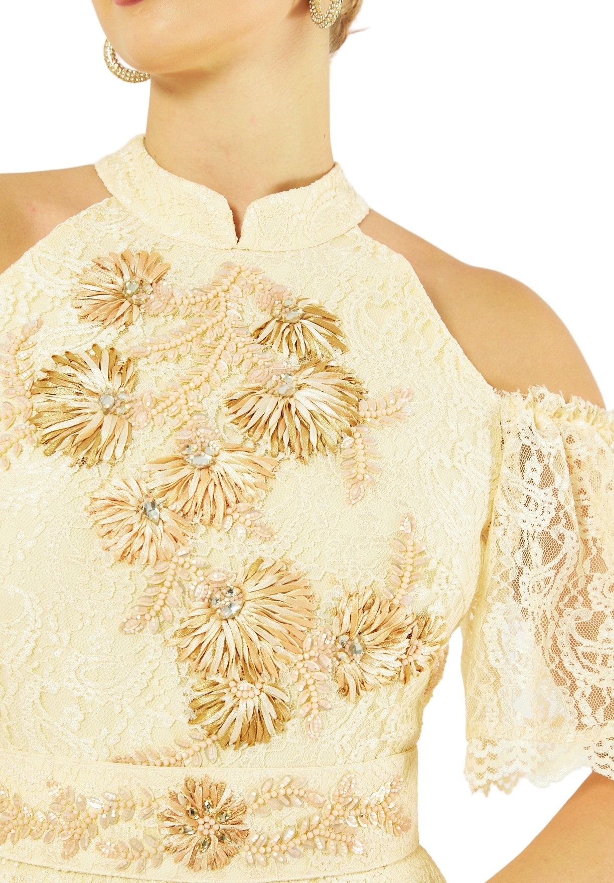 Petal Lace Embroidered Radiant Dress