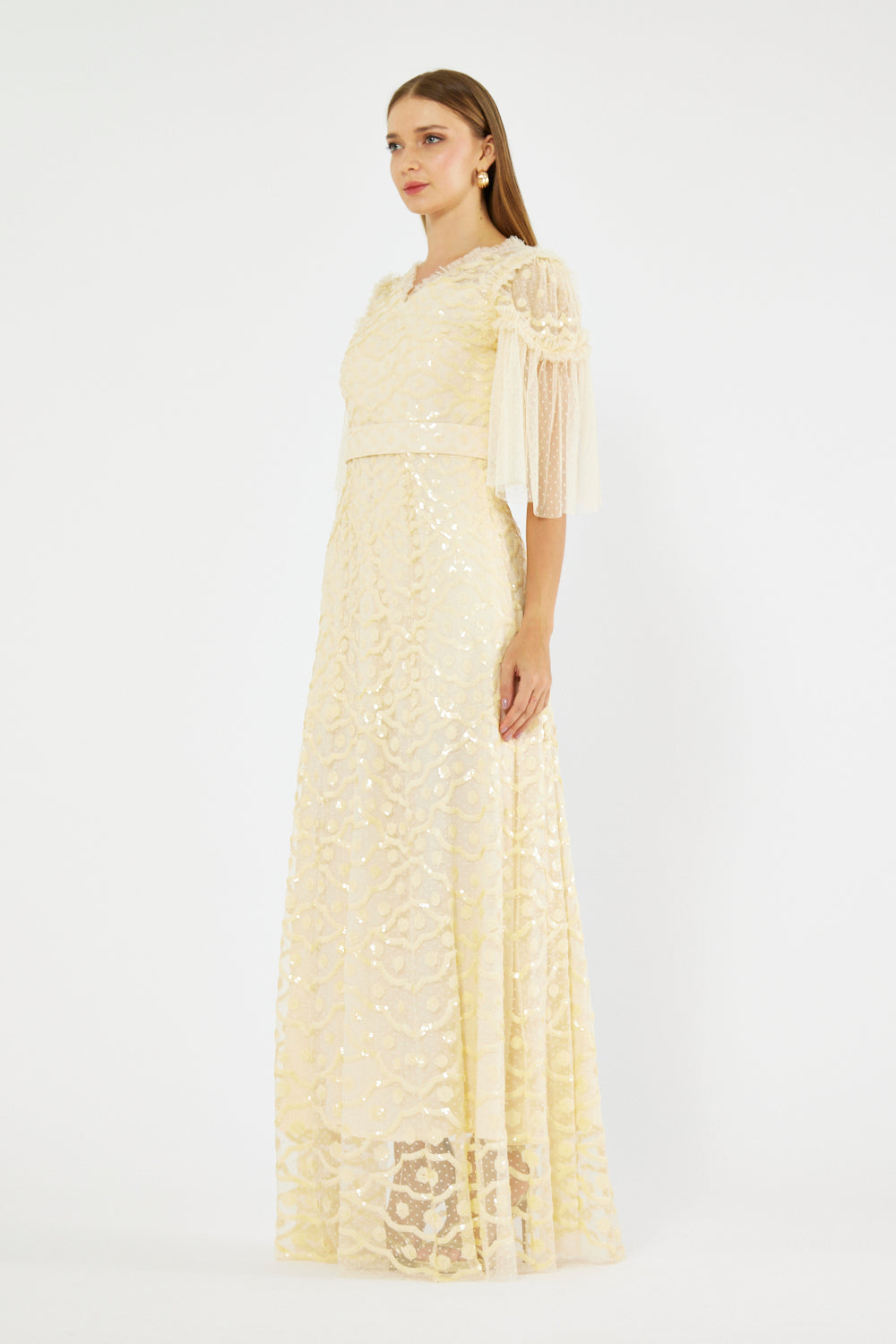 Mariette Tulle Sleeve Dress