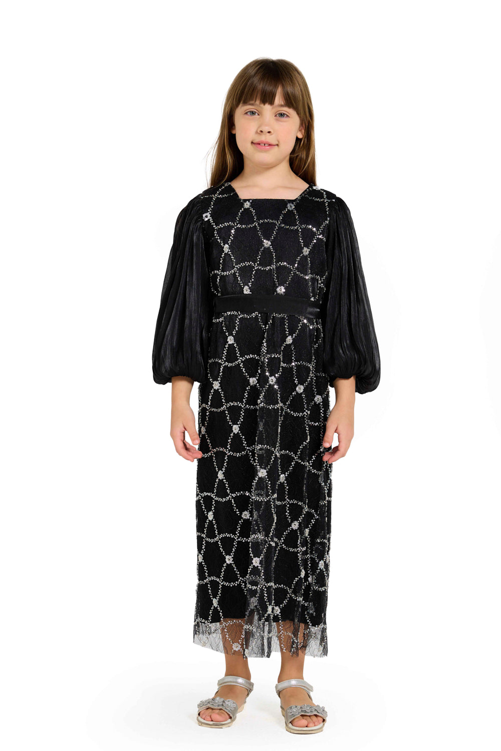 Crystal Whimsy Pleated Sleeve Dress