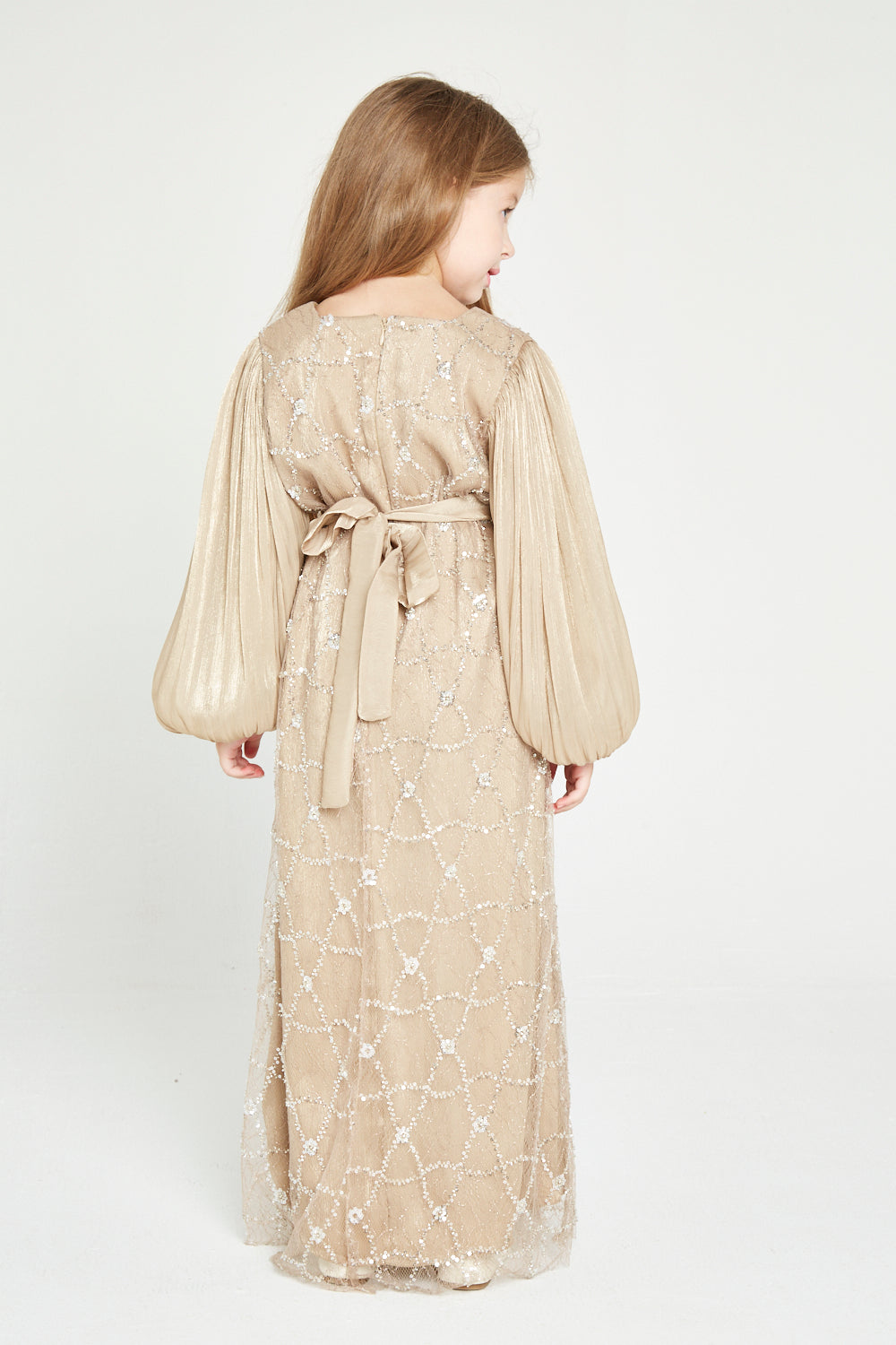 Crystal Whimsy Pleated Sleeve Dress