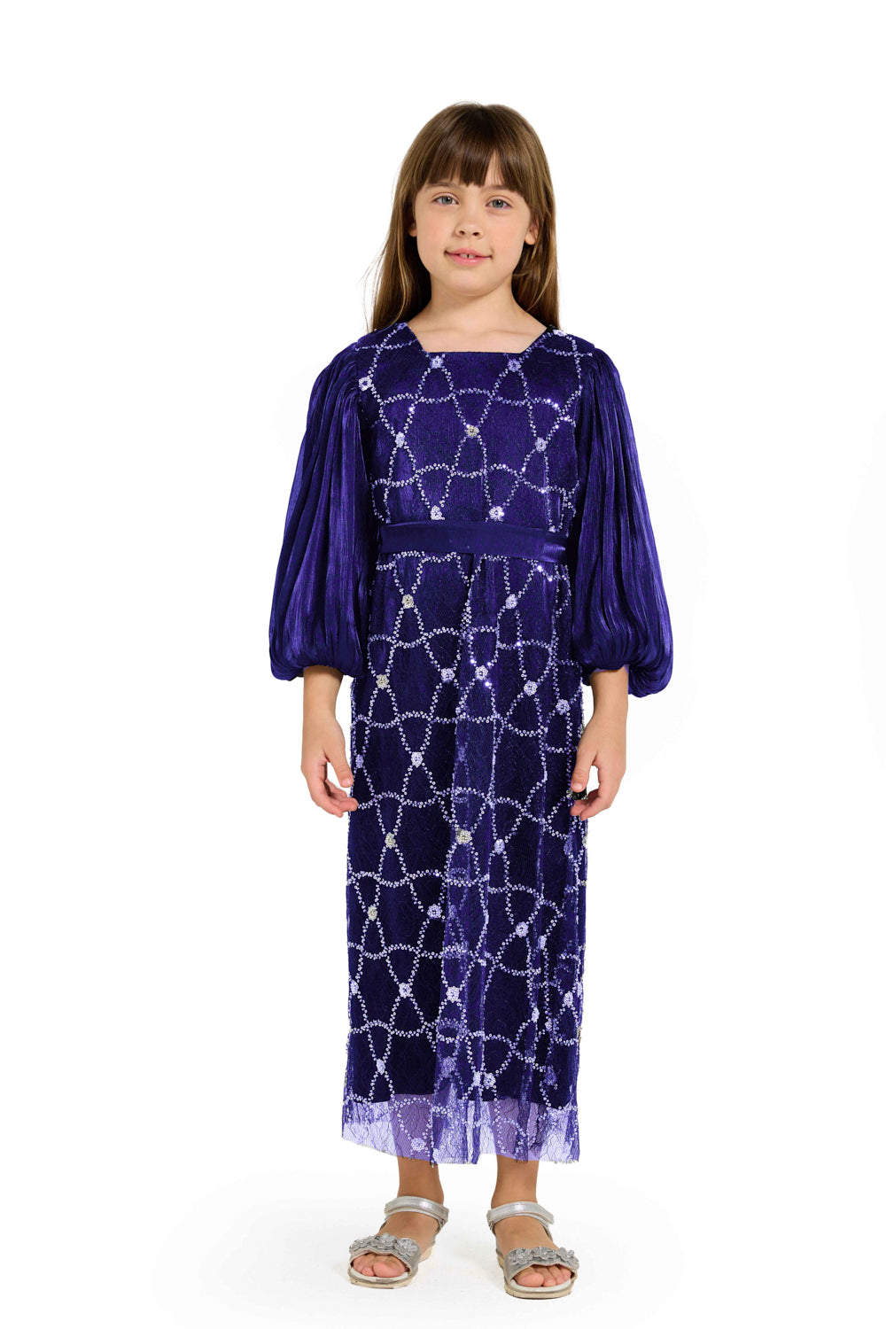 Crystal Whimsy Pleated Sleeve Dress