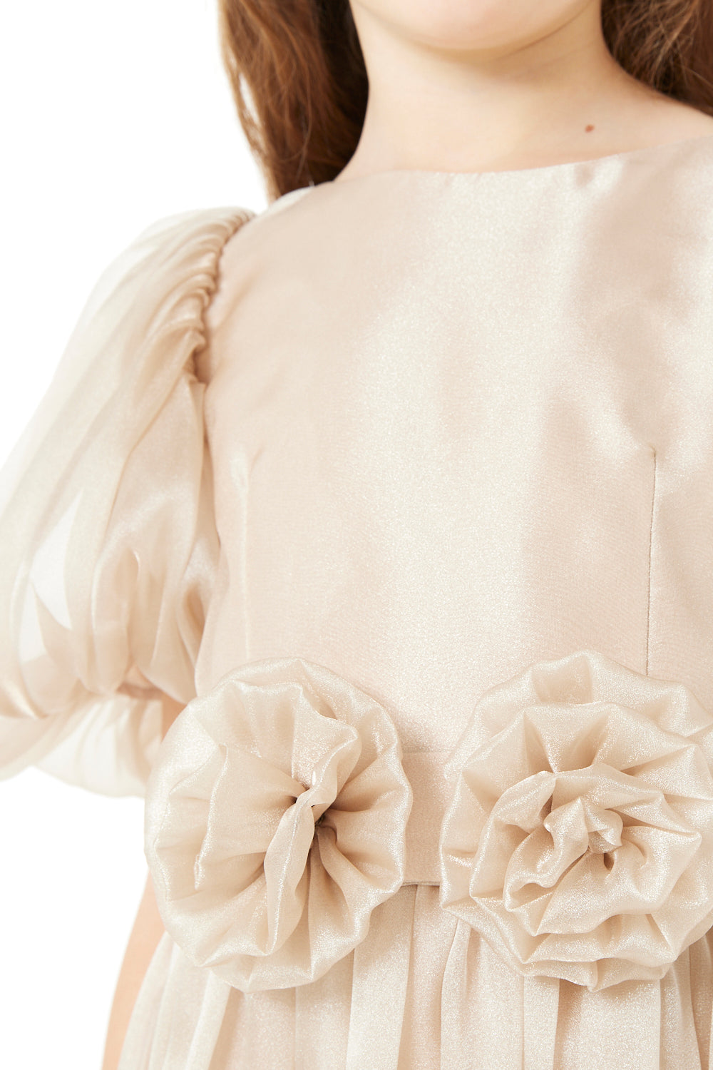 Puff Sleeve Floral Waist Dress