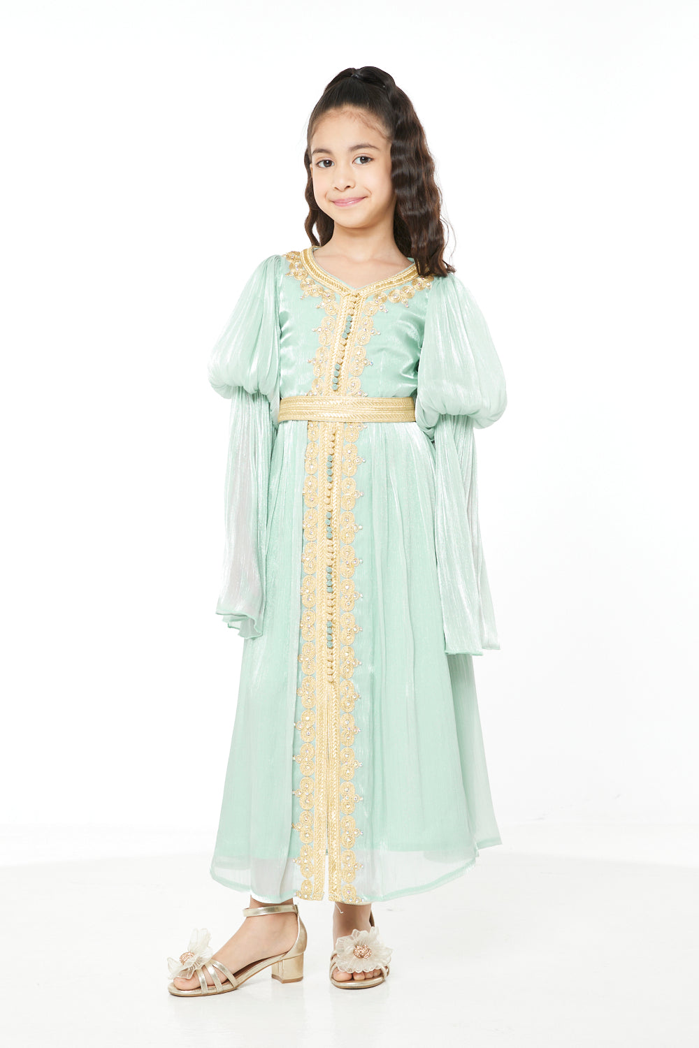 Embroidered Traditional Elegance Style Dress