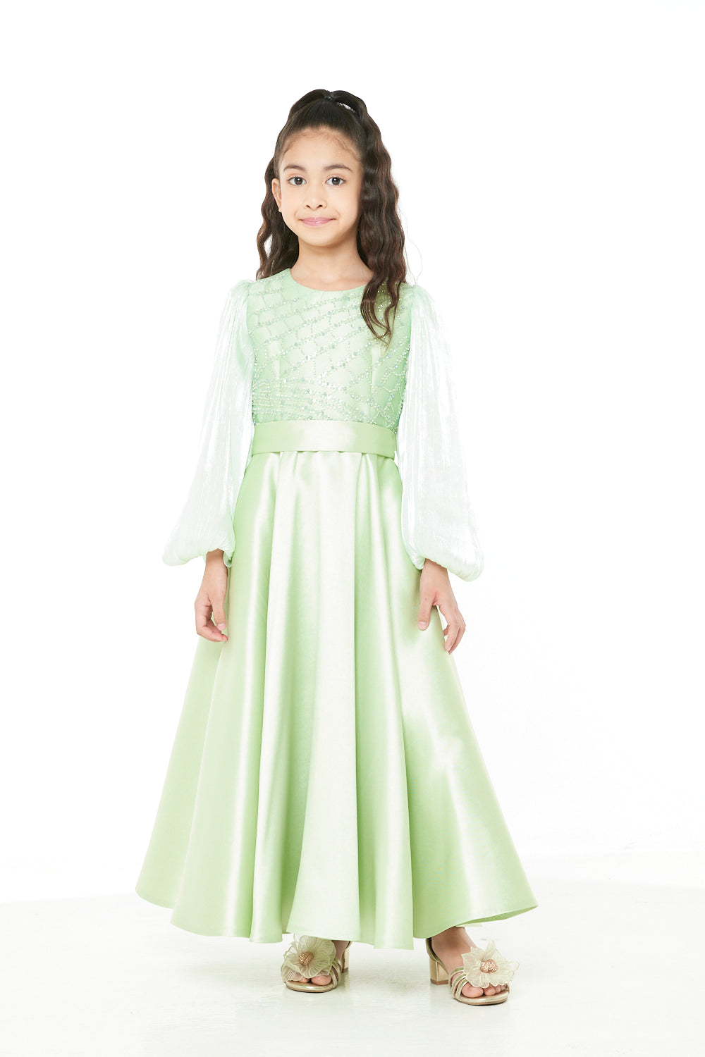 Embellished  Sheer Sleeve Gown