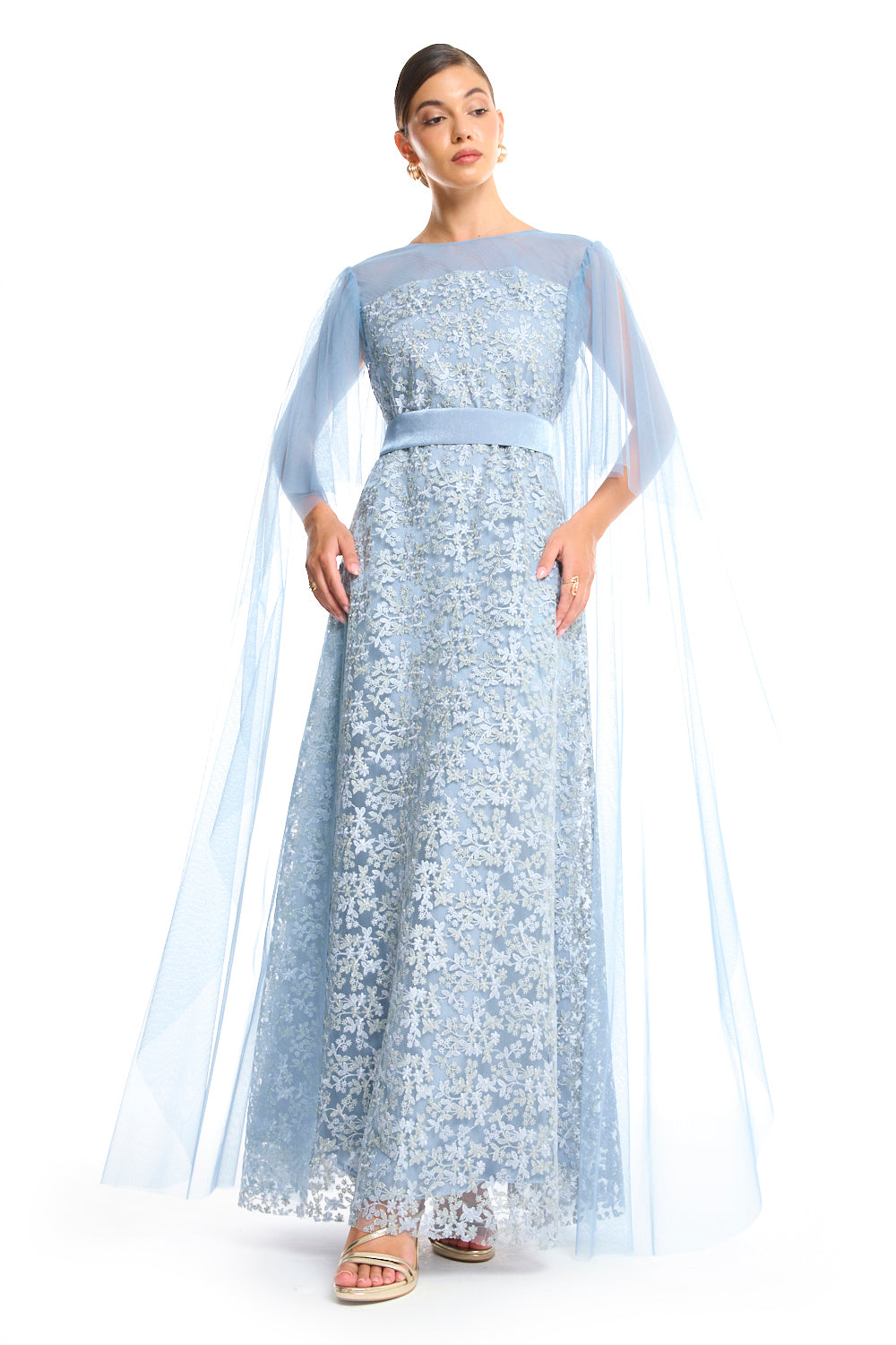 Veiled Elegance Dress