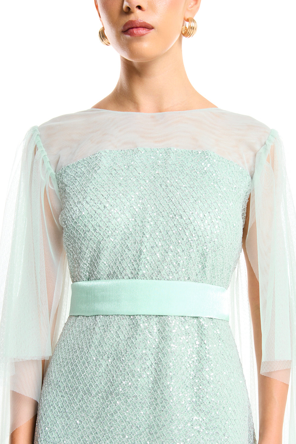 Veiled Elegance Dress