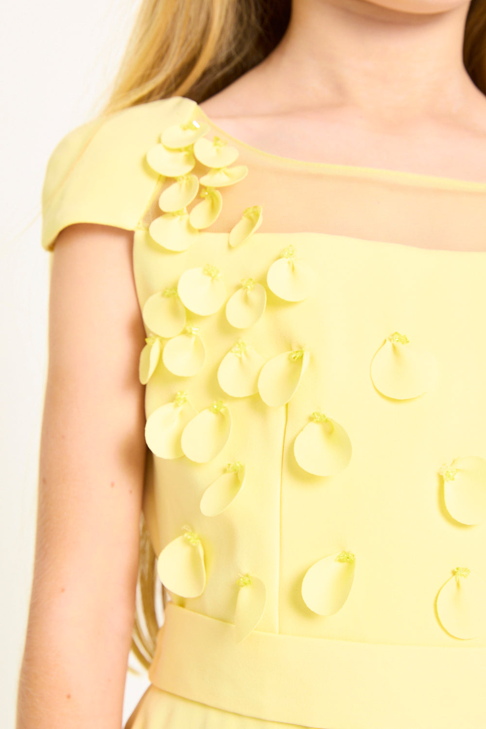 Petal Appliqué Cap Sleeve Dress